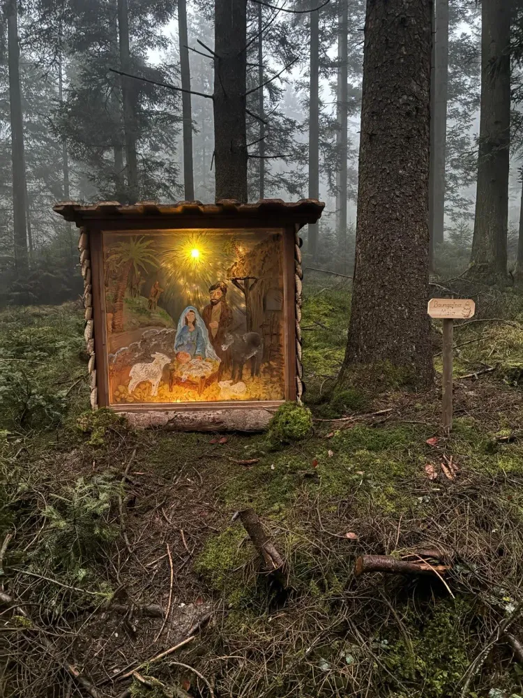 Kripperlweg Eindruck 12